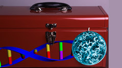 a toolbox with DNA and a cancer cell