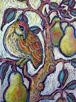 Partridge in a Pear Tree l - Posted on Wednesday, November 19, 2014 by Ande Hall