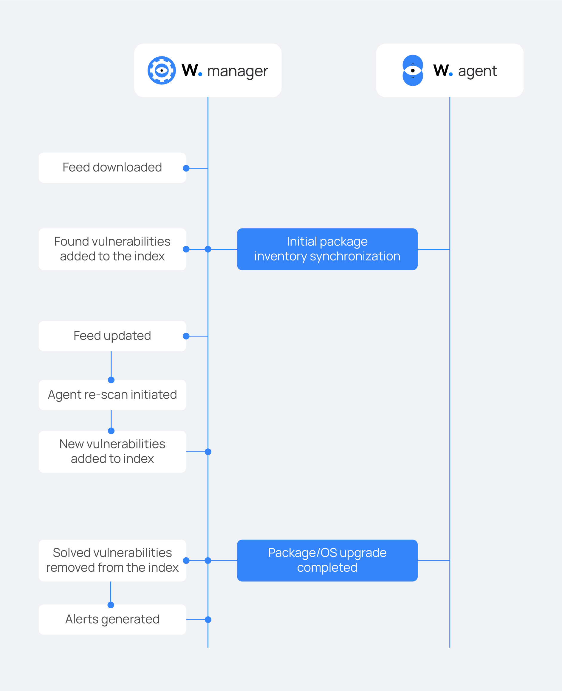 Vulnerability detection workflow