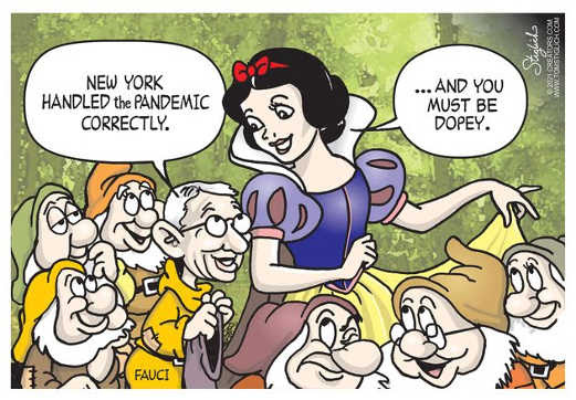 new york handlied pandemic correctly snow white you must be dopey dr fauci