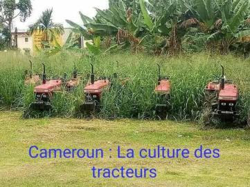 la culture des tracteurs