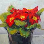 Red Primrose,still life,oil on canvas,6x6,price$200 - Posted on Friday, February 27, 2015 by Joy Olney