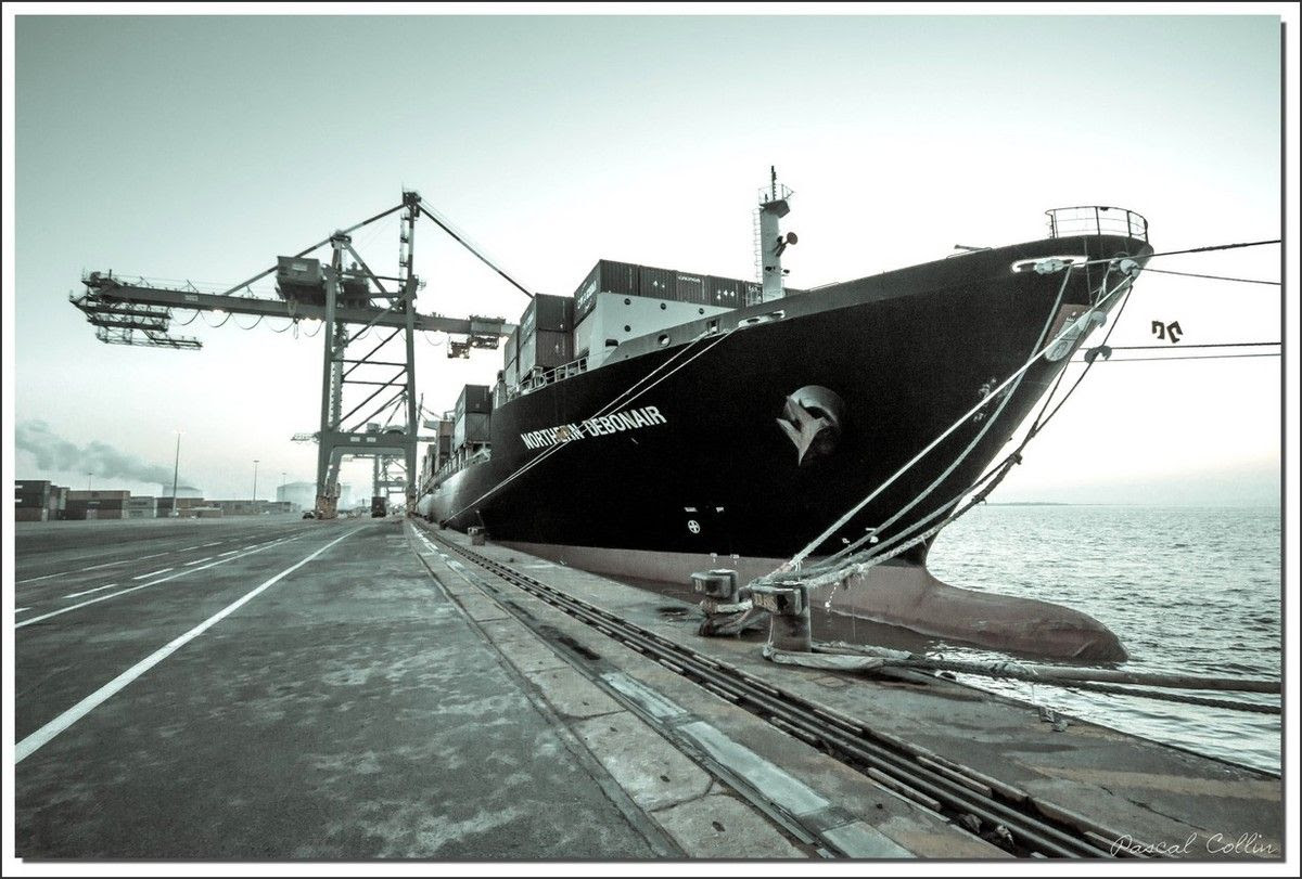 Infos - les Ports, et Infrastuctures maritimes Ob_e5b0bf_northern-debonair-t8964