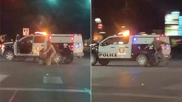 Video: Naked Man Beats Up Las Vegas Cop and Steals His Patrol Truck, Then Crashes
