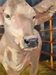 Morning cow - Posted on Saturday, February 21, 2015 by Patty Voje