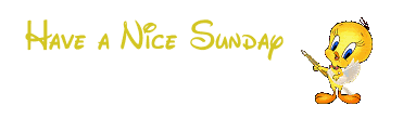 a-Nice-Sunday-Tweety