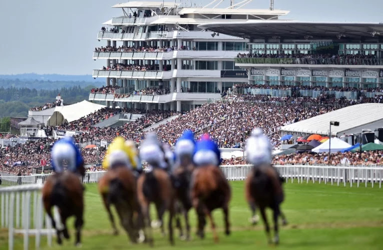 Nationals report Queen to miss Epsom Derby