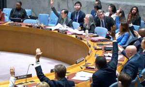 Совет Безопасности голосует по резолюции по прекращению огня в Газе в Рамадан