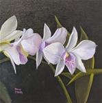 Franklin Park Orchids Daily Floral Painting by Patty Ann Sykes - Posted on Tuesday, March 24, 2015 by Patty Sykes