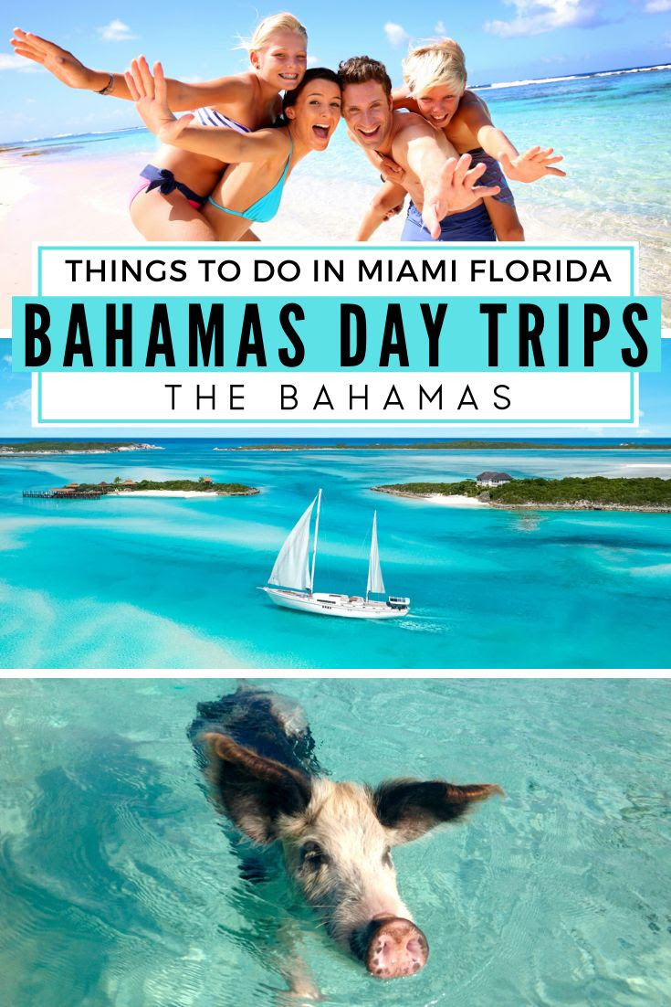 Bahamas Day Trip from Miami Why You Must Go Pig beach bahamas