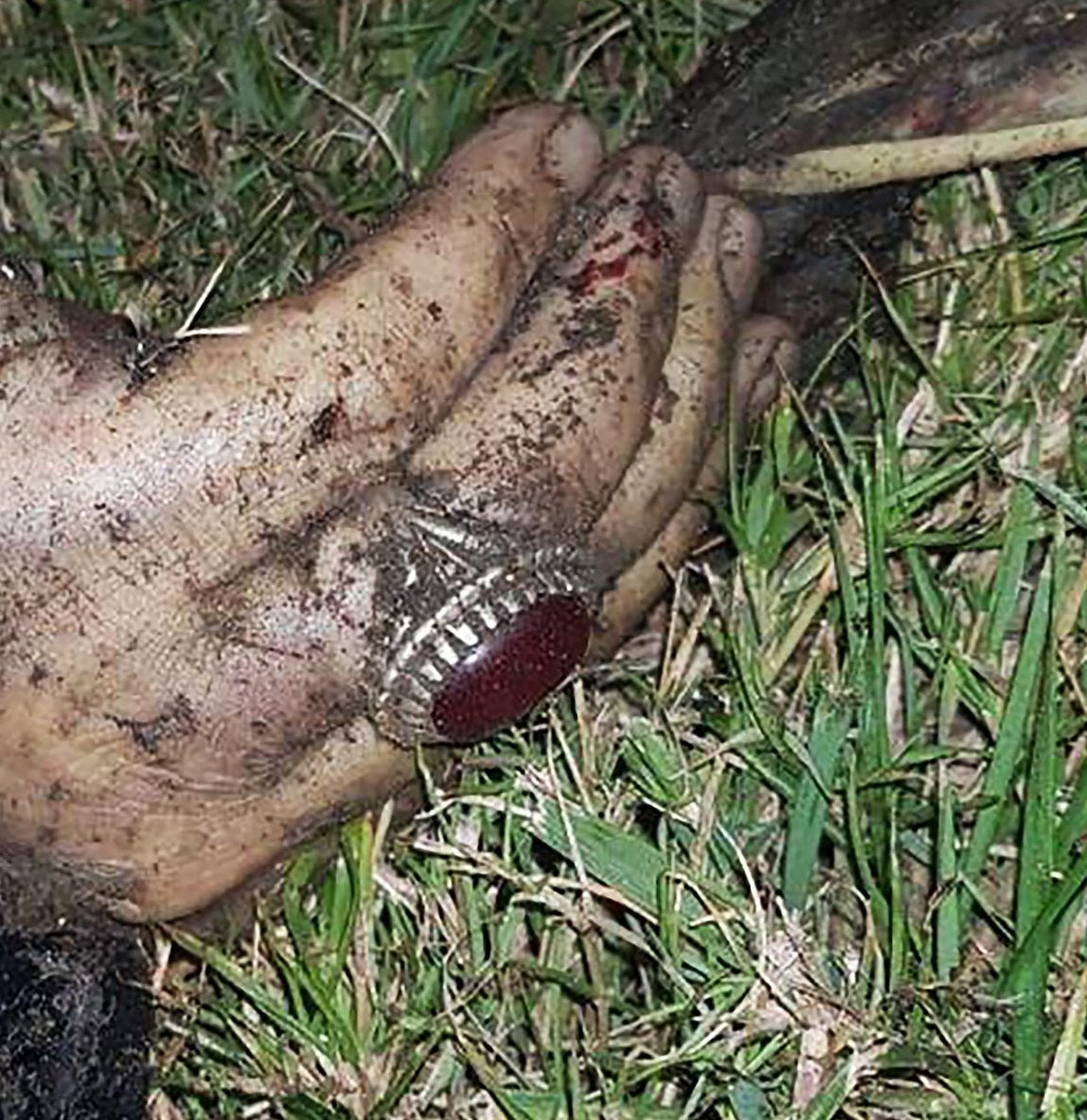  Soleimani's body was identified by his large red gemstone ring