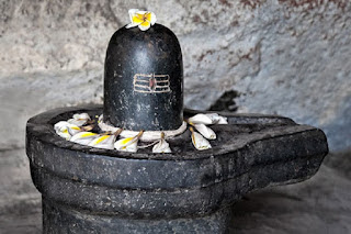 shiv