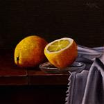 Lemons and Cloth - Posted on Friday, December 5, 2014 by Dietrich Moravec