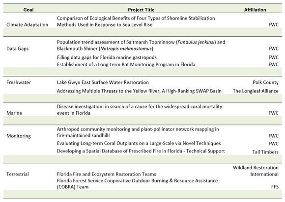 SWG Project Table