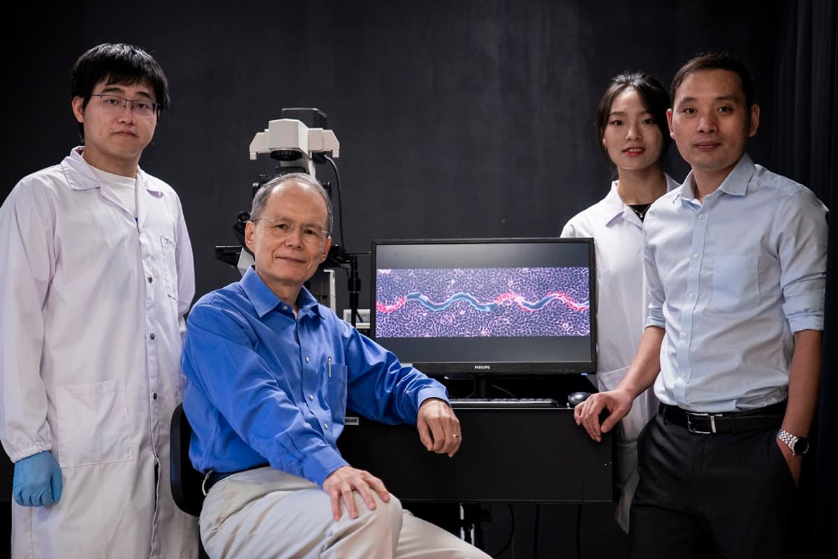 Members of the research team include (from left to right) PhD student Zhou Quan, Prof. K Jimmy Hsia, PhD student Xu Hongmei and Asst. Prof. Huang Changjin