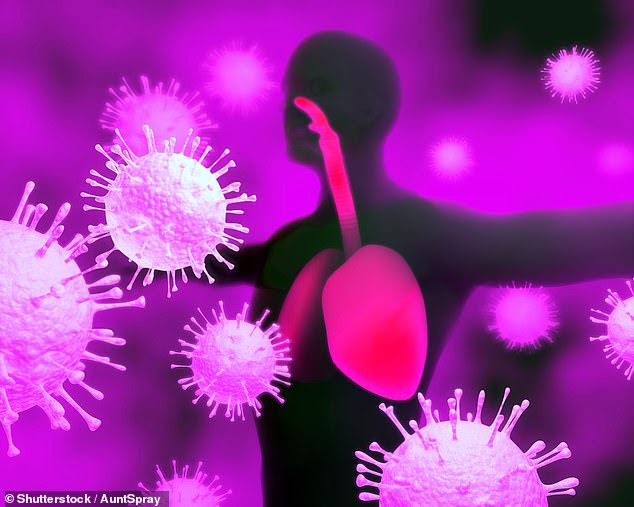 In their study, the researchers focused on the hundreds of catalogued cell types found in our lungs and nasal passages (pictured) as well as the intestine — all areas of body known to be infected by the novel coronavirus — in comparison to cells from unaffected organs