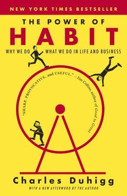The Power of Habit: Why We Do What We do in Life and Business EPUB