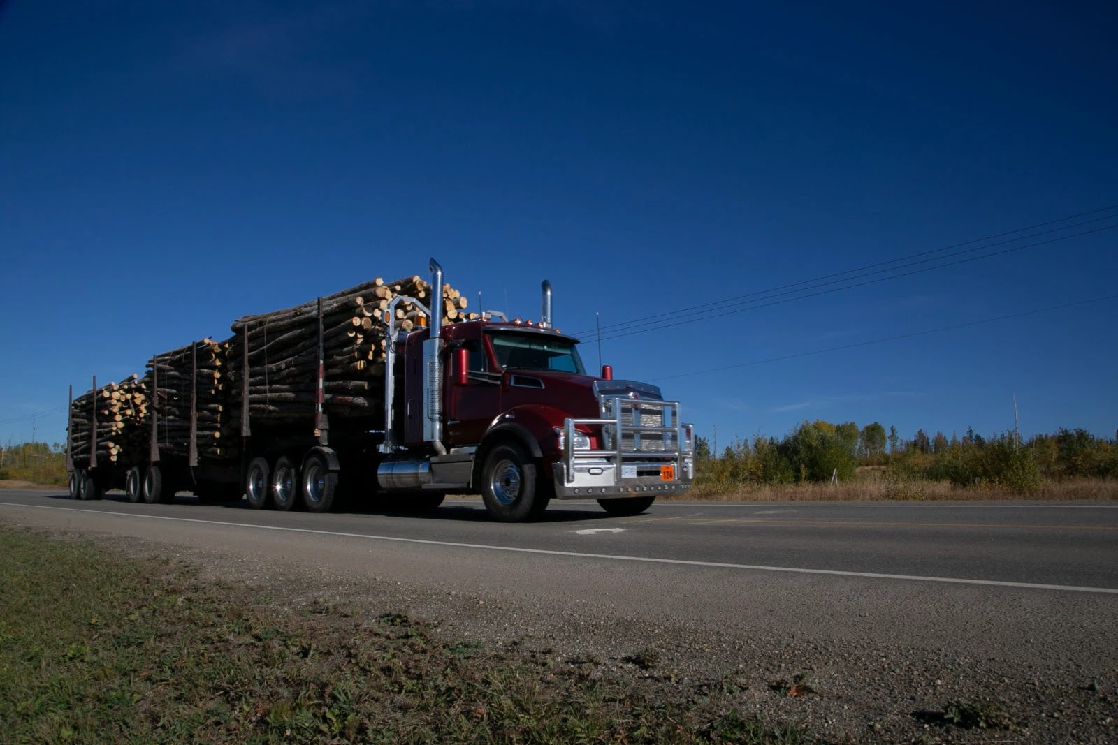 Caminho de grupo de madeireiras canadenses acusadas de crimes ambientais transporta toras de madeira