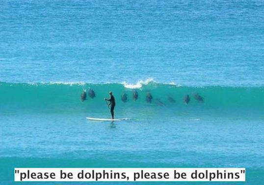 "please be dolphins, please be dolphins" 15%20-%20Dolphin%20Prayer