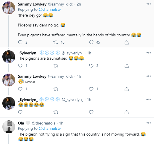Nigerians react as the white pigeons released by President Buhari at Armed Forces Remembrance Day celebration refused to fly (video)