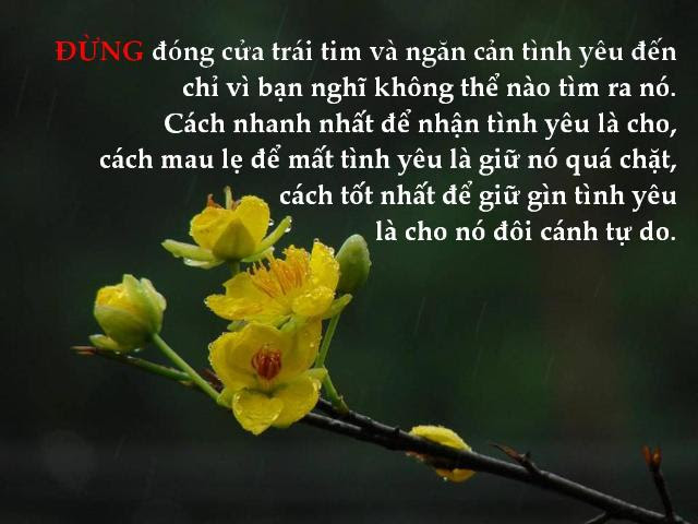 http://www.dongcong.net/photogallery/Cham-Ngon_CS/cs_clip_image039.jpg