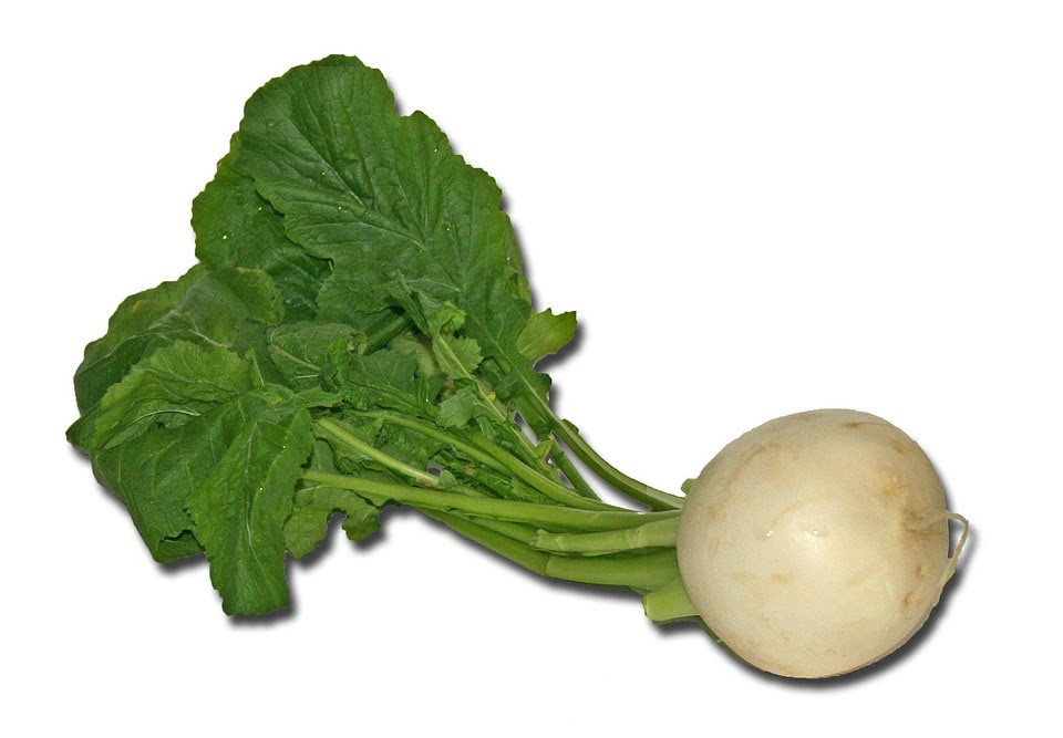 Nabo, Produtos Hortícolas, Cozinheiro, Root