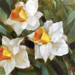 White Daffodils - Posted on Sunday, January 25, 2015 by Krista Eaton