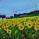 Sunflower Field - Posted on Tuesday, November 11, 2014 by Jessica Miller