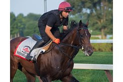 Mendelssohn trains at Saratoga Race Course prior to his start in the Travers Stakes 