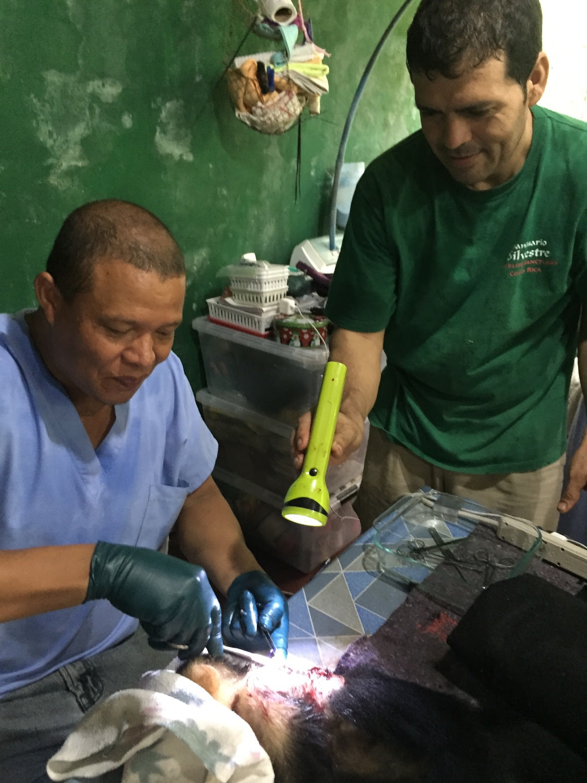 Dr. Andres Tello Atencio