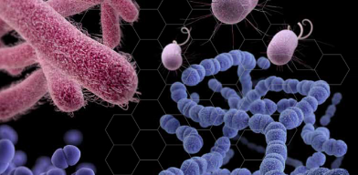 Antibiotic Resistance