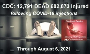 CDC/VAERS Stats thru 8/06/21 August-6-2021-VAERS-deaths-768x461-1-300x180