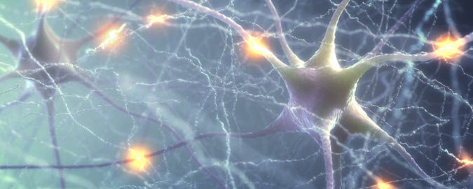 Image of nerve cells