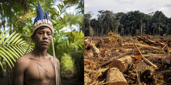 A young Indigenous man in Brazil stands next to a devastated rainforest scene. The floor is littered with felled trees.