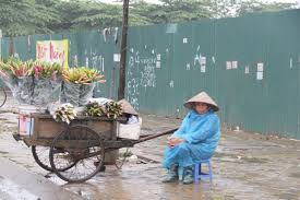 Image result for nguoi dan ba ban hang rong bi cong an xuc len xe
