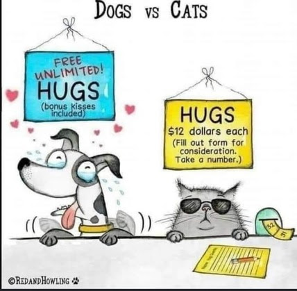 Dogs-vs-Cats-hugs