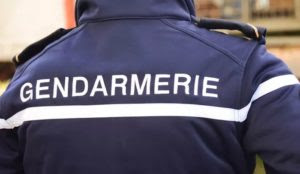 France: Muslim migrant screams ‘Allahu akbar,’ hits one gendarme with a faucet, bites another