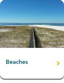 Beaches AL Gulf Coast