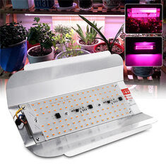 Full spectrum 50W 100W LED Grow Flood Light AC220V