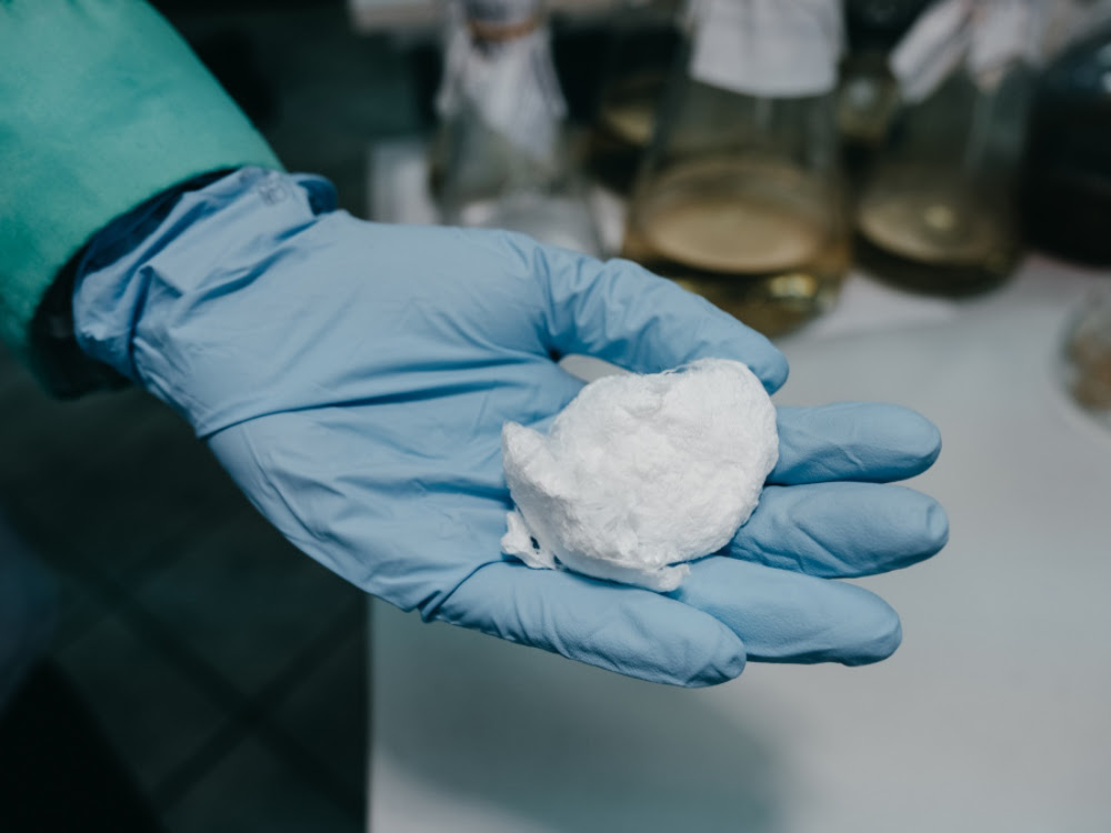 Ученые сделали биоразлагаемый пластик из сахарной свеклы