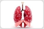 Aging and lung tissue stiffness contribute to function decline