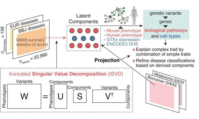 Redefining human diseases through the lens of DNA