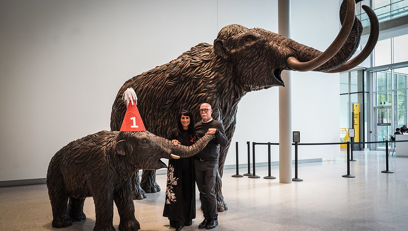 Museum celebrates mammoth first year in new home