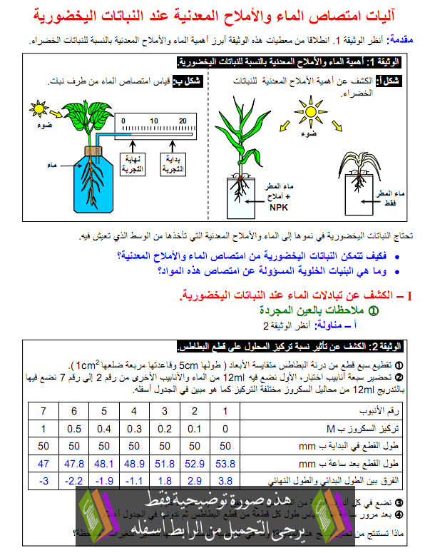 درس علوم الحياة والأرض: آليات امتصاص الماء والأملاح المعدنية عند النباتات اليخضورية – الأولى باكالوريا علوم تجريبية Anabatat-alyakhdoria