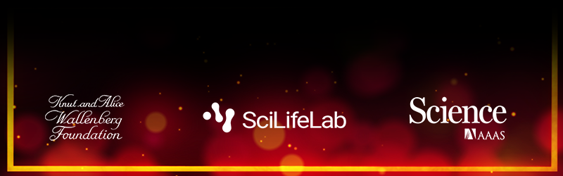 Knut and Alice Wallenberg Foundation | SciLifeLab | Science AAAS