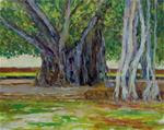 Banyan Tree - Posted on Wednesday, April 8, 2015 by Fred E. Salmon, Jr.