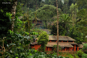 coorg-gallery13