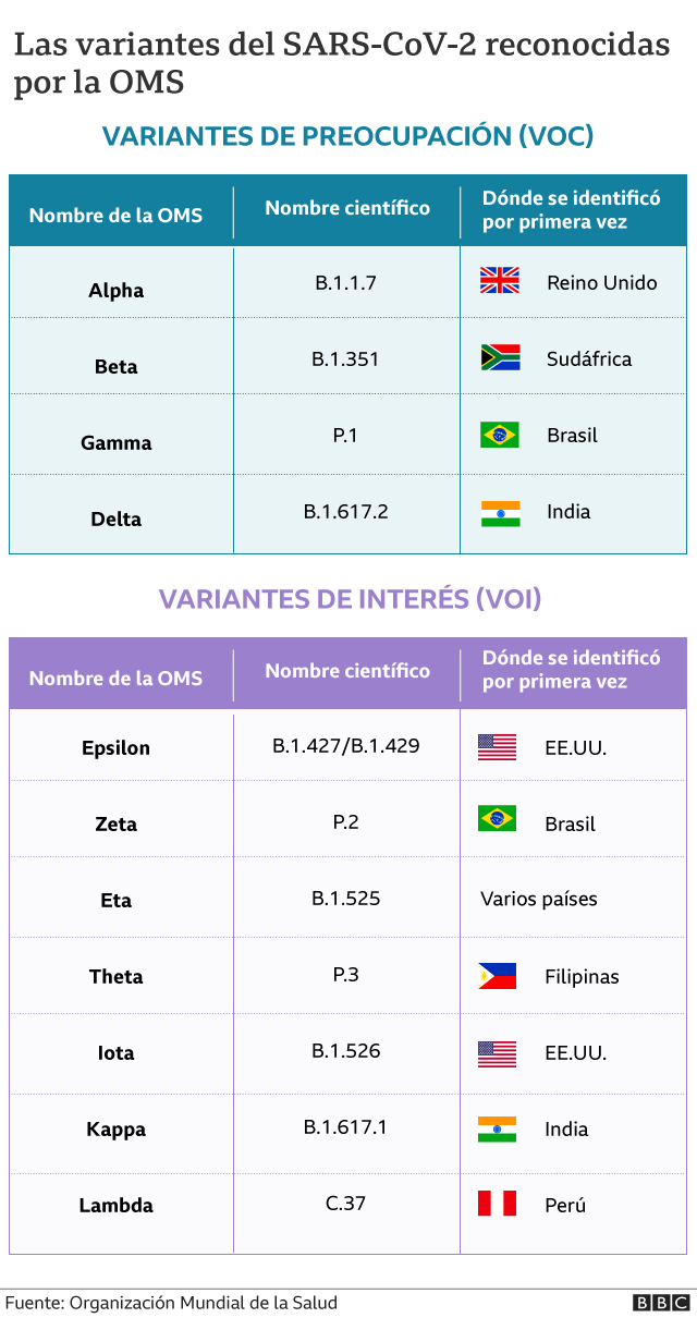 Gráfico de las 11 variantes del coronavirus