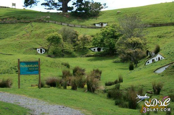 منازل الخرفان في قرية هوبيتون – Hobbiton النيوزيلندية 3dlat.com_13980242376