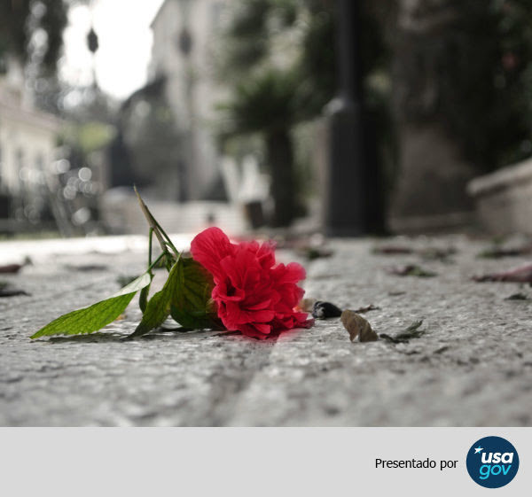 Articulo: Rosas y espinas: en este Día de San Valentín dígale no al abuso